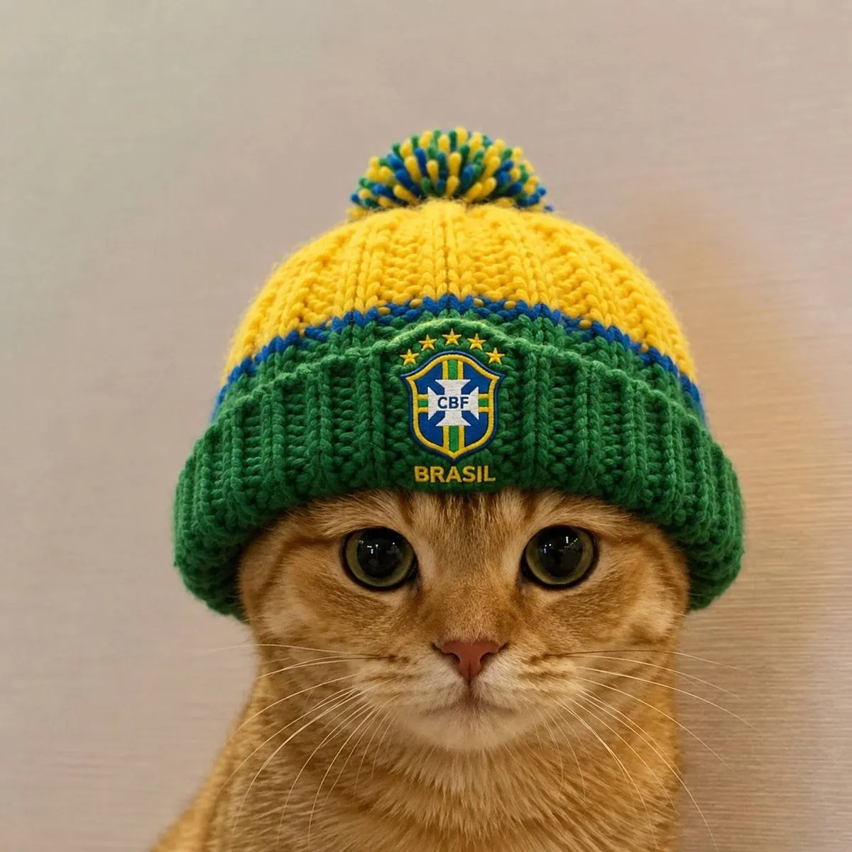catwifhat meme — brasil cat
