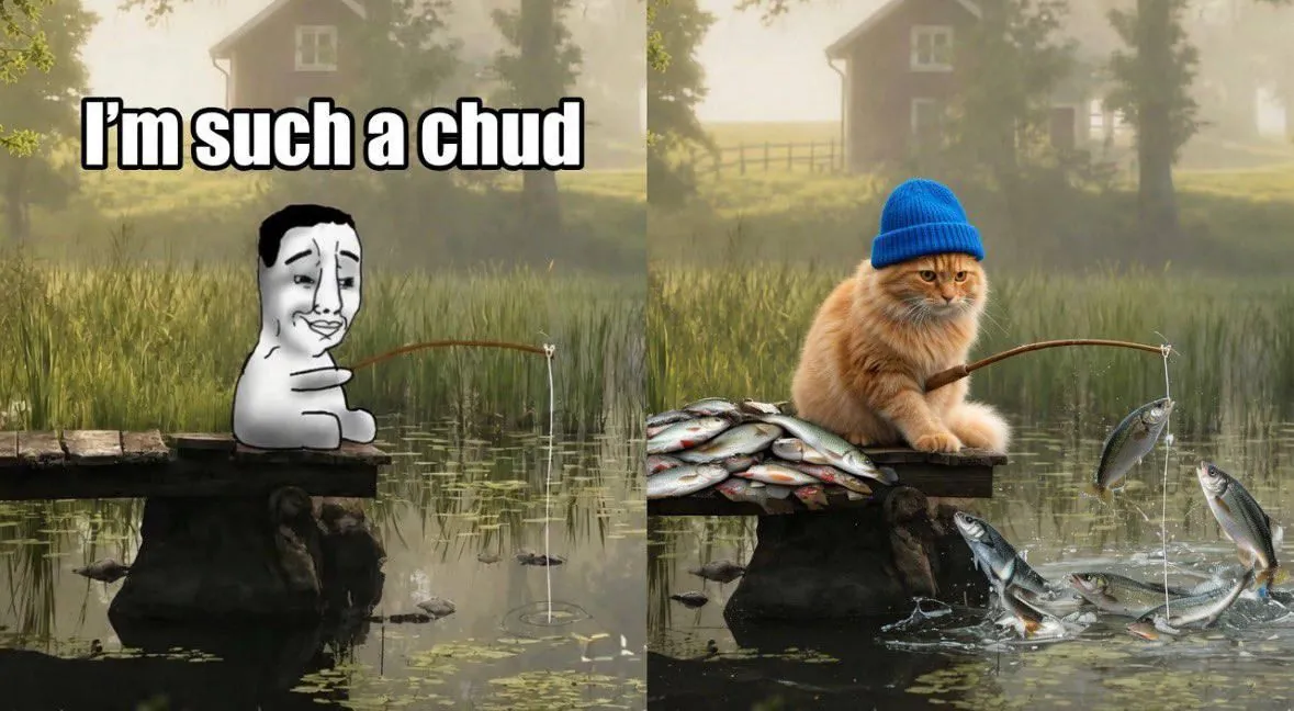 catwifhat meme — cat wif chud