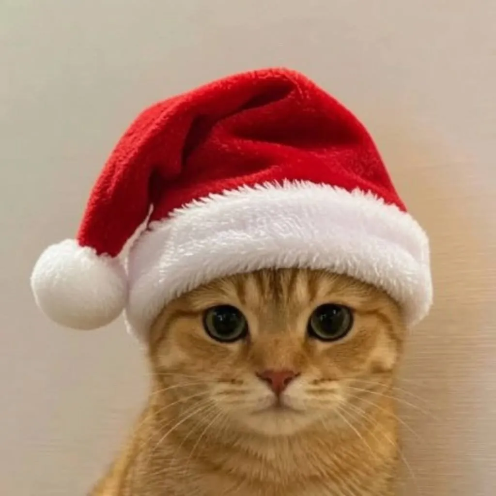 catwifhat meme — christmas hat cat