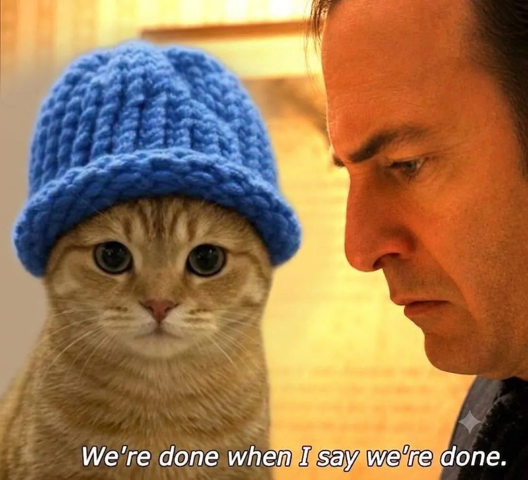 catwifhat meme — done when i say cat