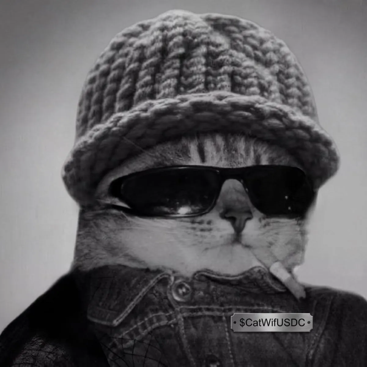 catwifhat meme — gangster cat