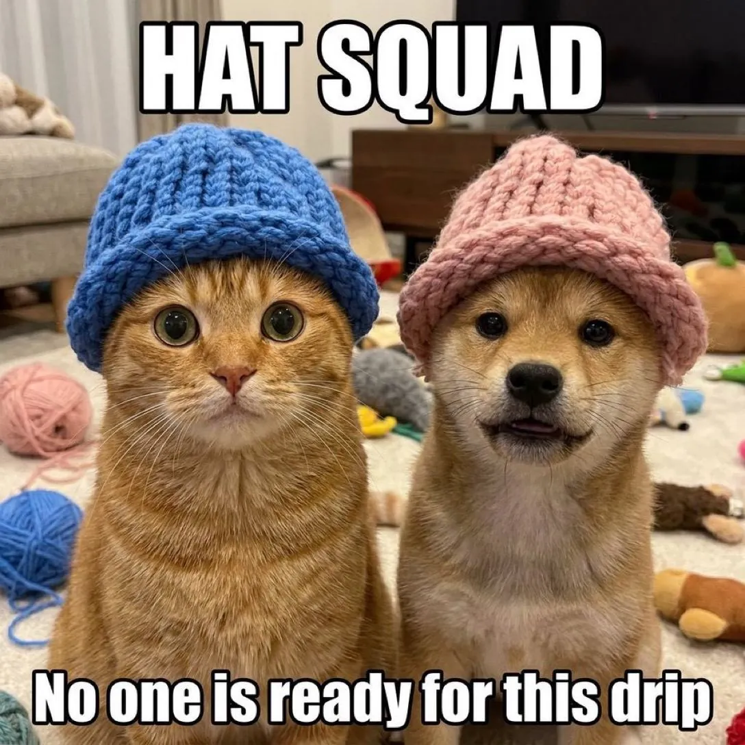 catwifhat meme — hat squad