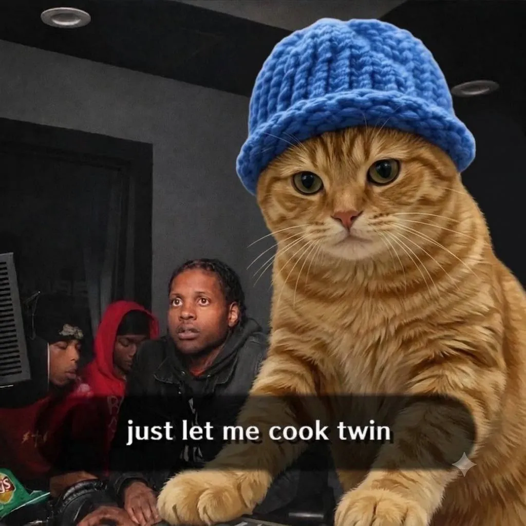 catwifhat meme — just let me cook cat