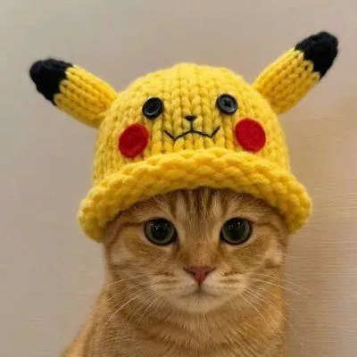 catwifhat meme — pika cat