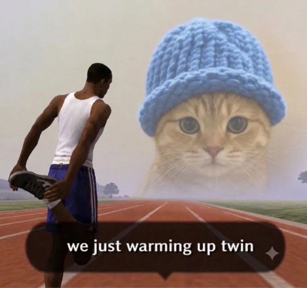 catwifhat meme — warming up twin cat