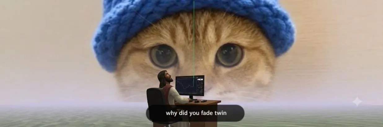 catwifhat meme — why did you fade twin cat