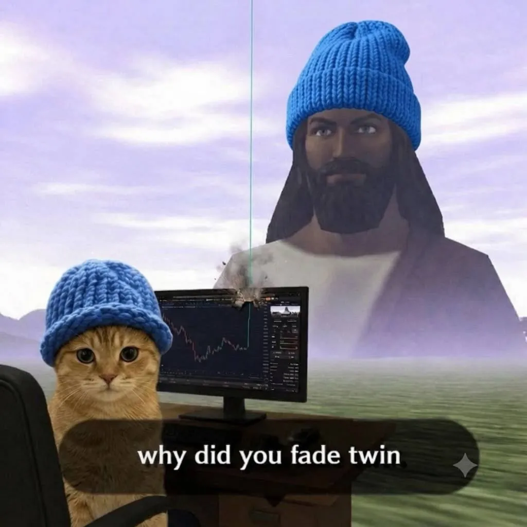 catwifhat meme — why fade twin