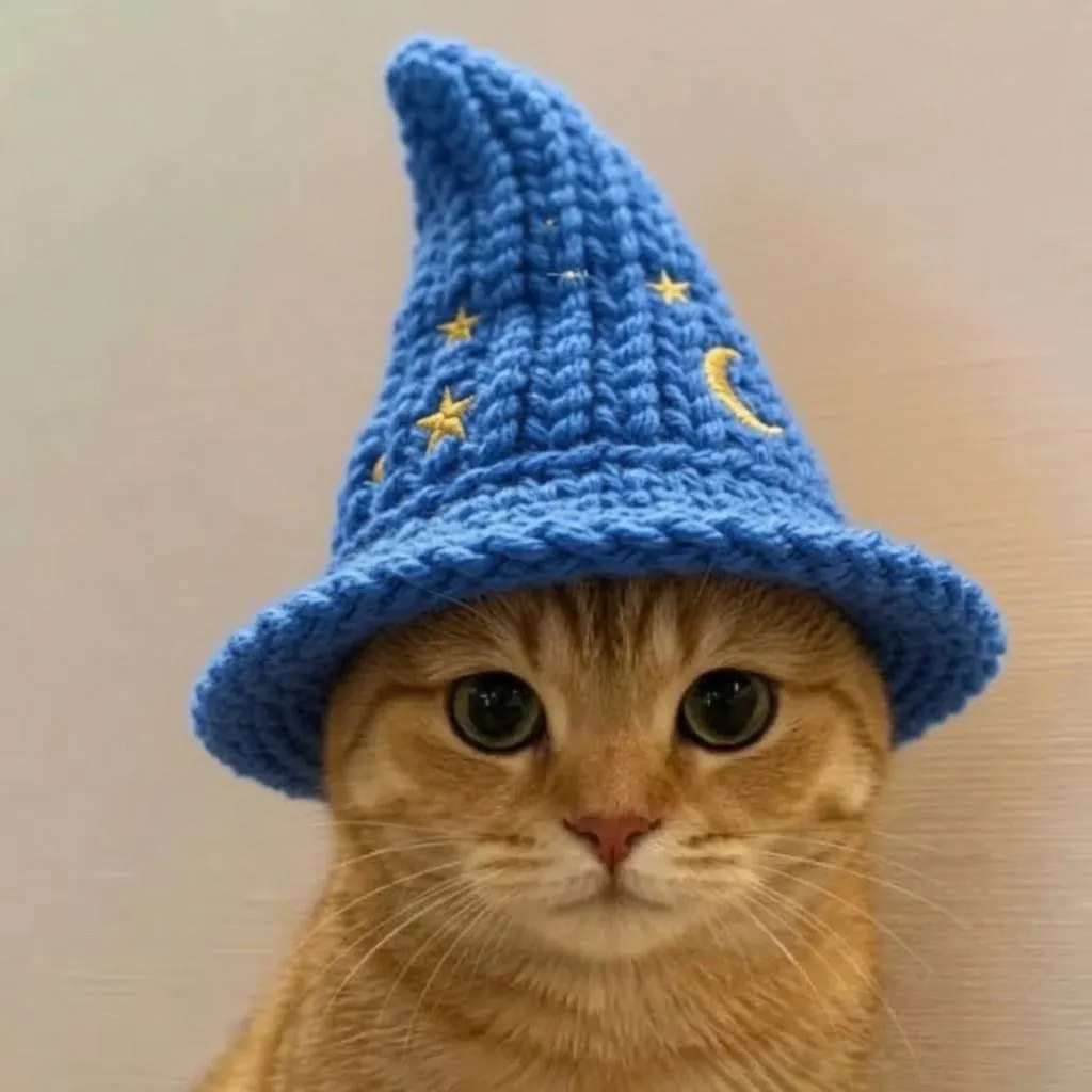 catwifhat meme — wizard cat