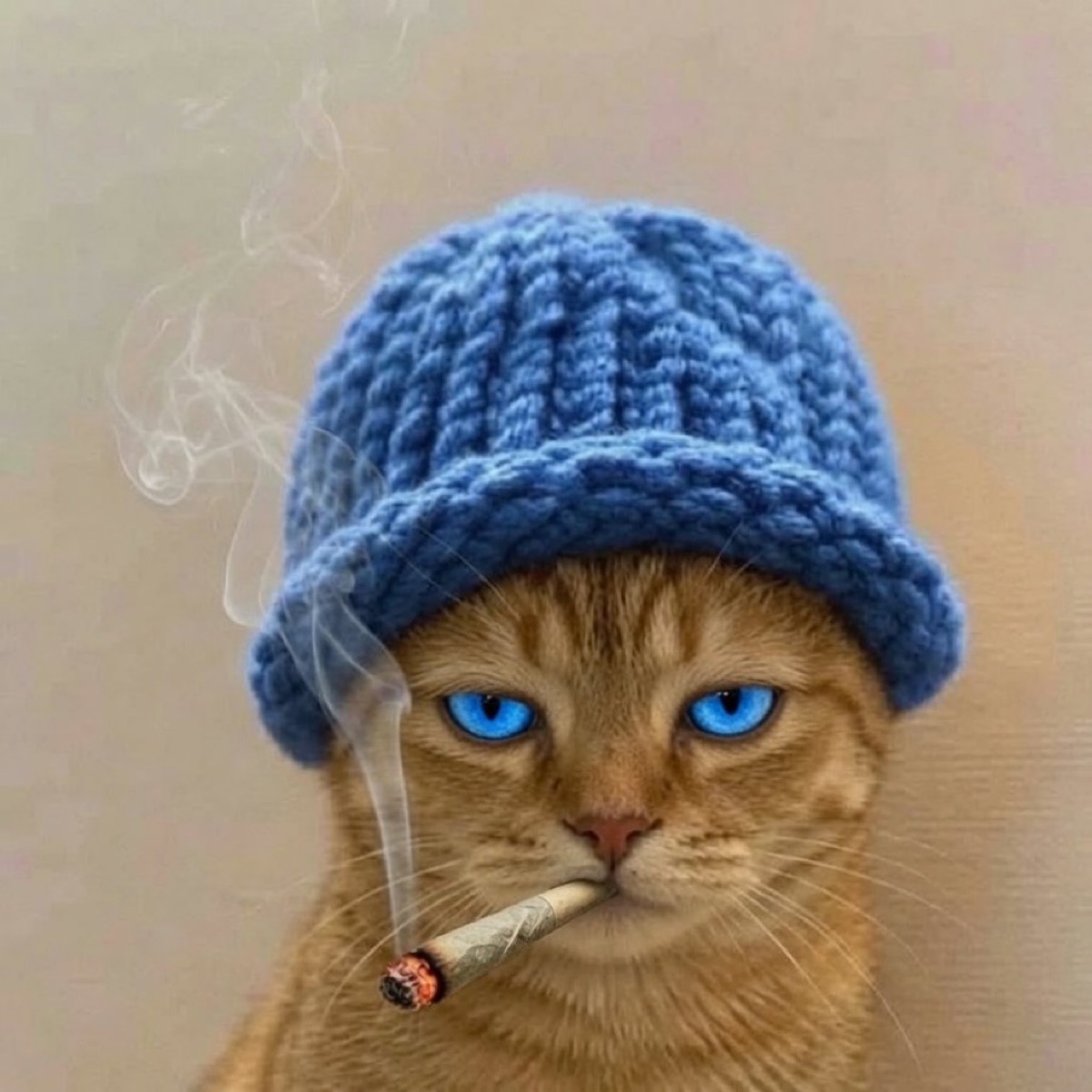 Ginger cat in a blue hat with blue eyes and a cigarette