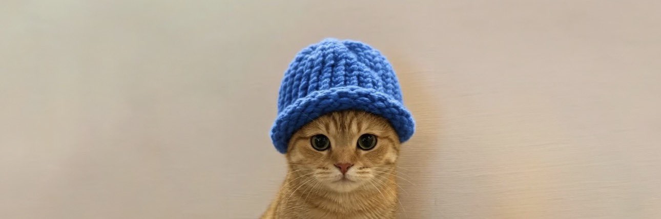 A ginger cat wearing a chunky royal-blue knitted beanie against a warm beige wall